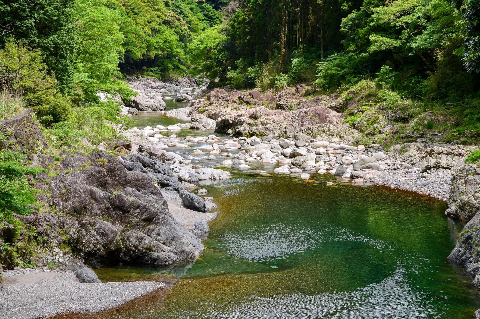 癒やしの聖地「日之影」で、科学が解明した「森の力」で心身を整える-0