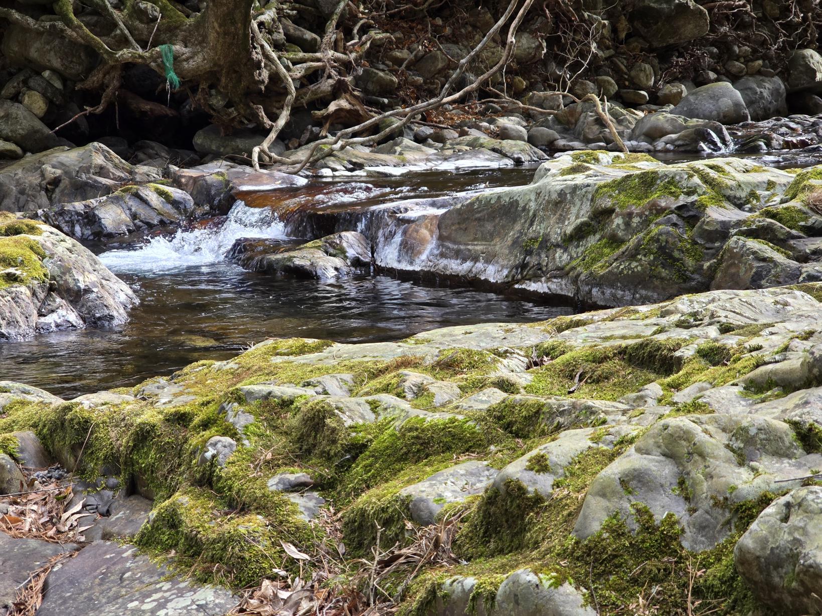 川辺での「呼吸瞑想」-3