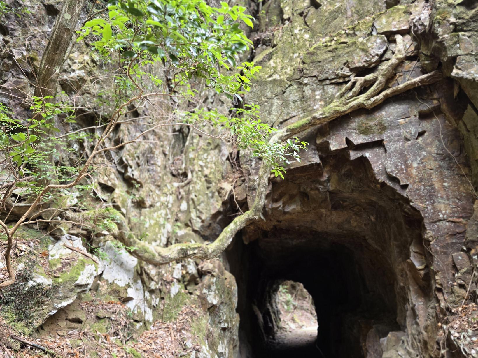 神秘的な手彫りの岩トンネル-5
