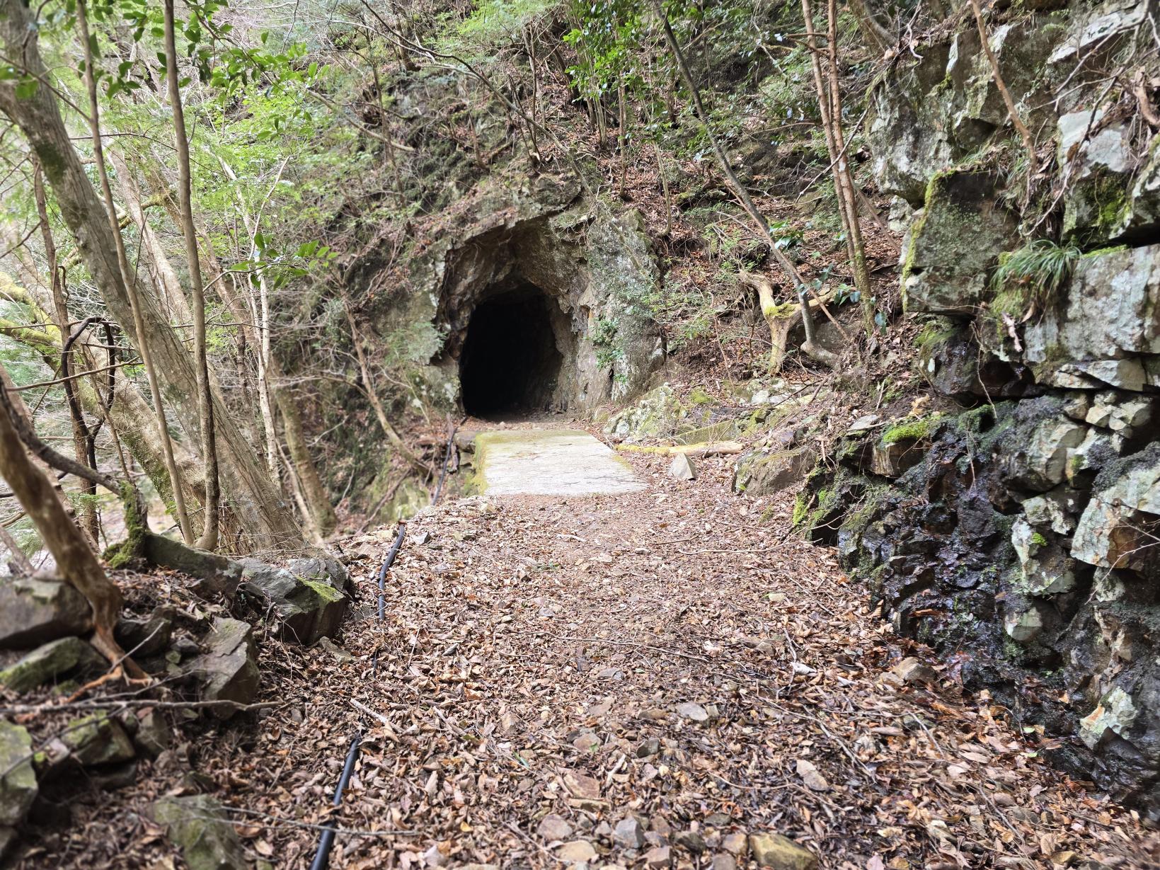 神秘的な手彫りの岩トンネル-0