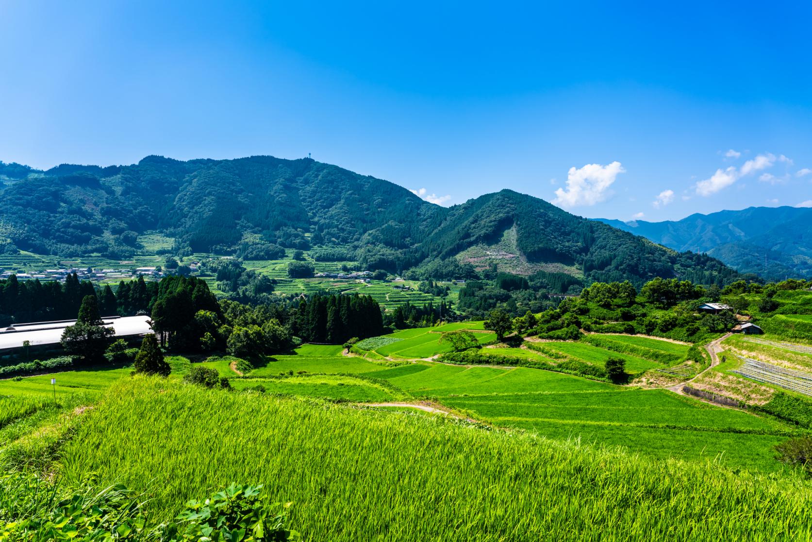 宮崎の農村は天然のテーマパーク！農泊で楽しむ「旅育」の魅力-0