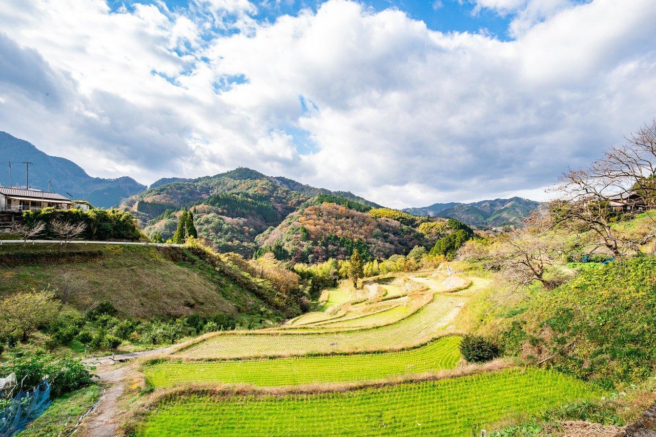 宮崎の農村は天然のテーマパーク！農泊で楽しむ「旅育」の魅力-1