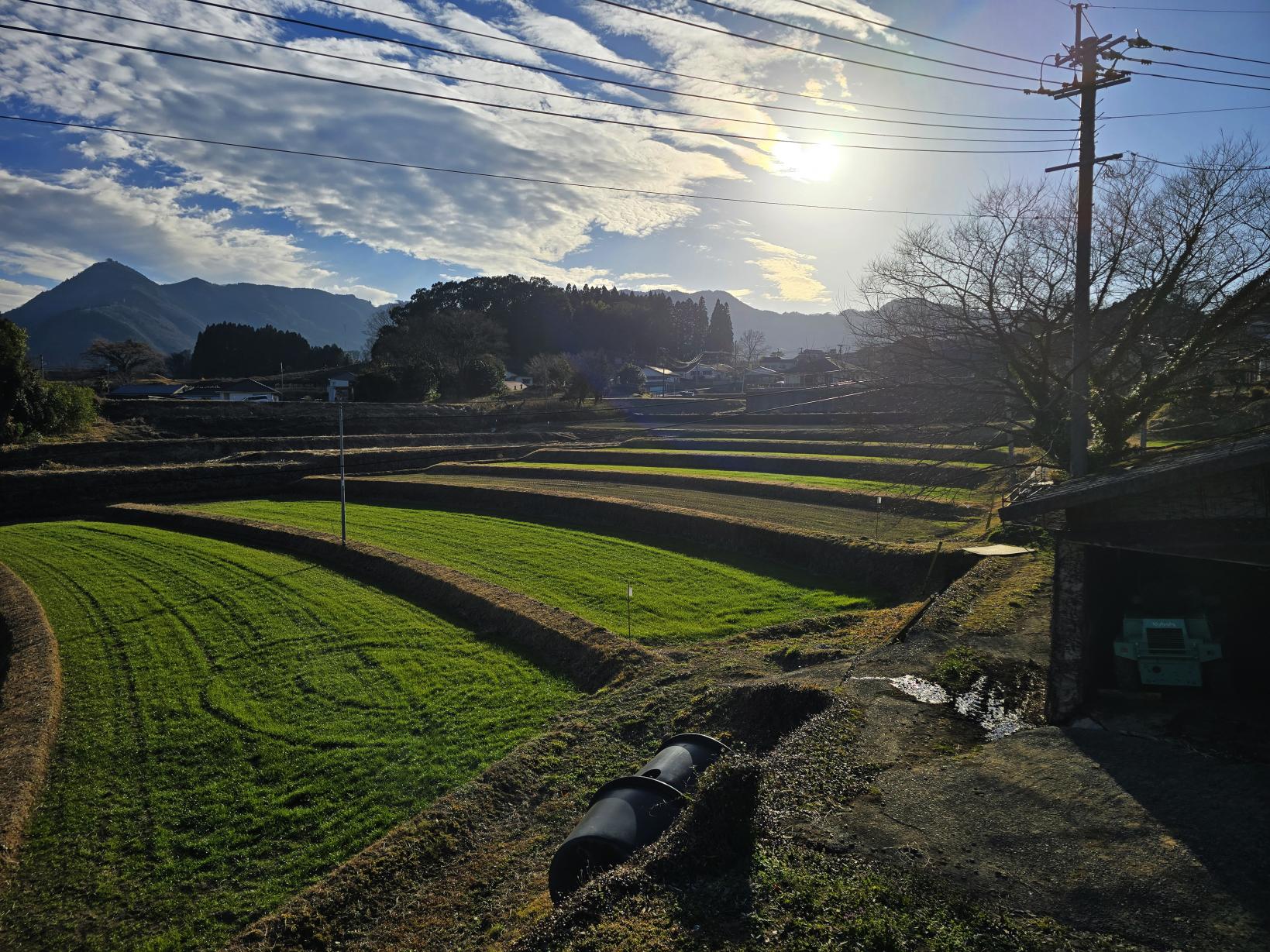 宮崎の農村は天然のテーマパーク！農泊で楽しむ「旅育」の魅力-2