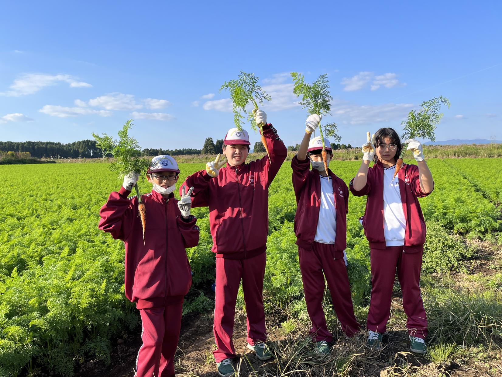 食育はキッチンから始まらない！太陽をたっぷり浴びた「命」を味わう-0