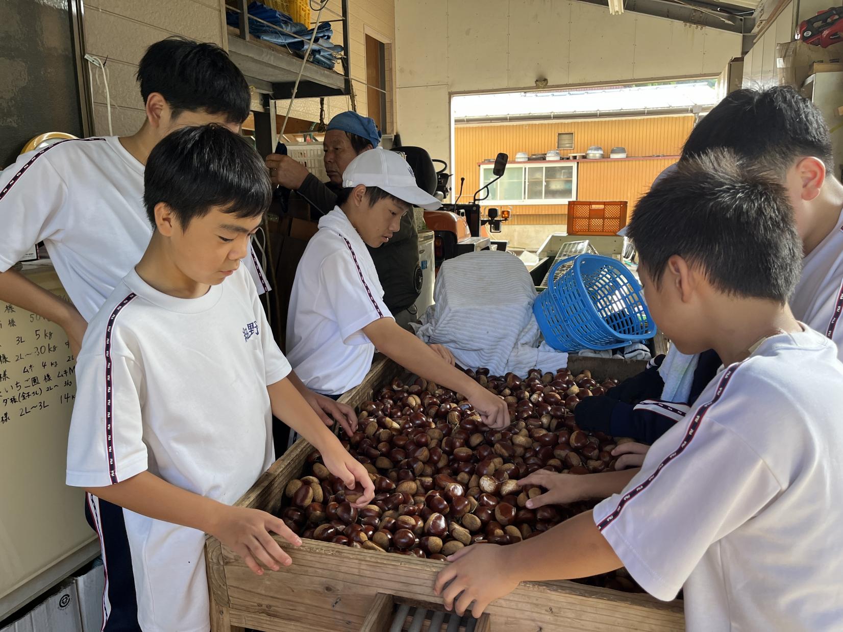 食育はキッチンから始まらない！太陽をたっぷり浴びた「命」を味わう-2