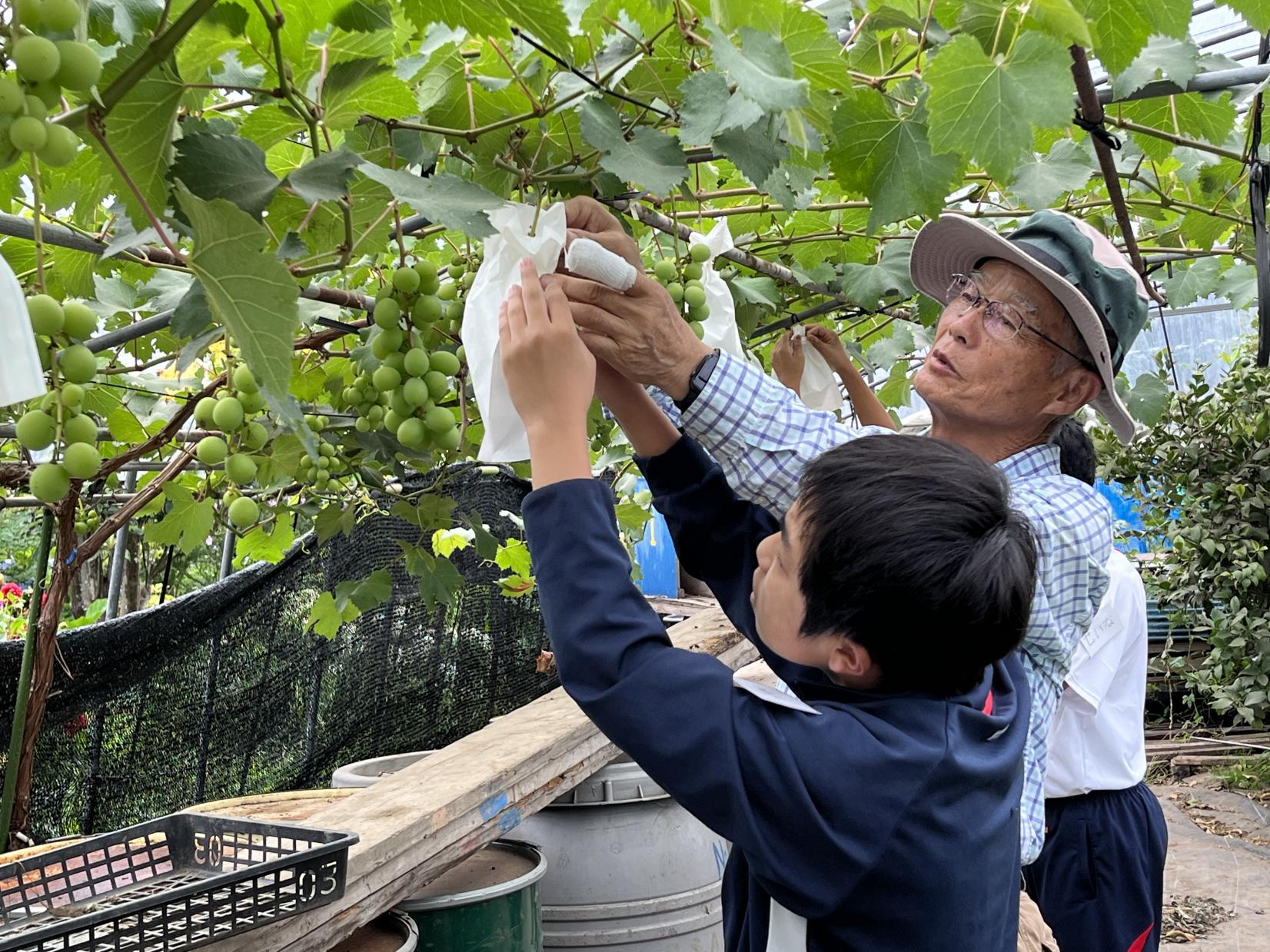 食育はキッチンから始まらない！太陽をたっぷり浴びた「命」を味わう-3