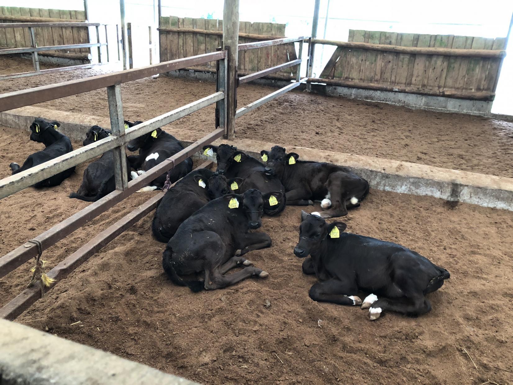 食育はキッチンから始まらない！太陽をたっぷり浴びた「命」を味わう-1