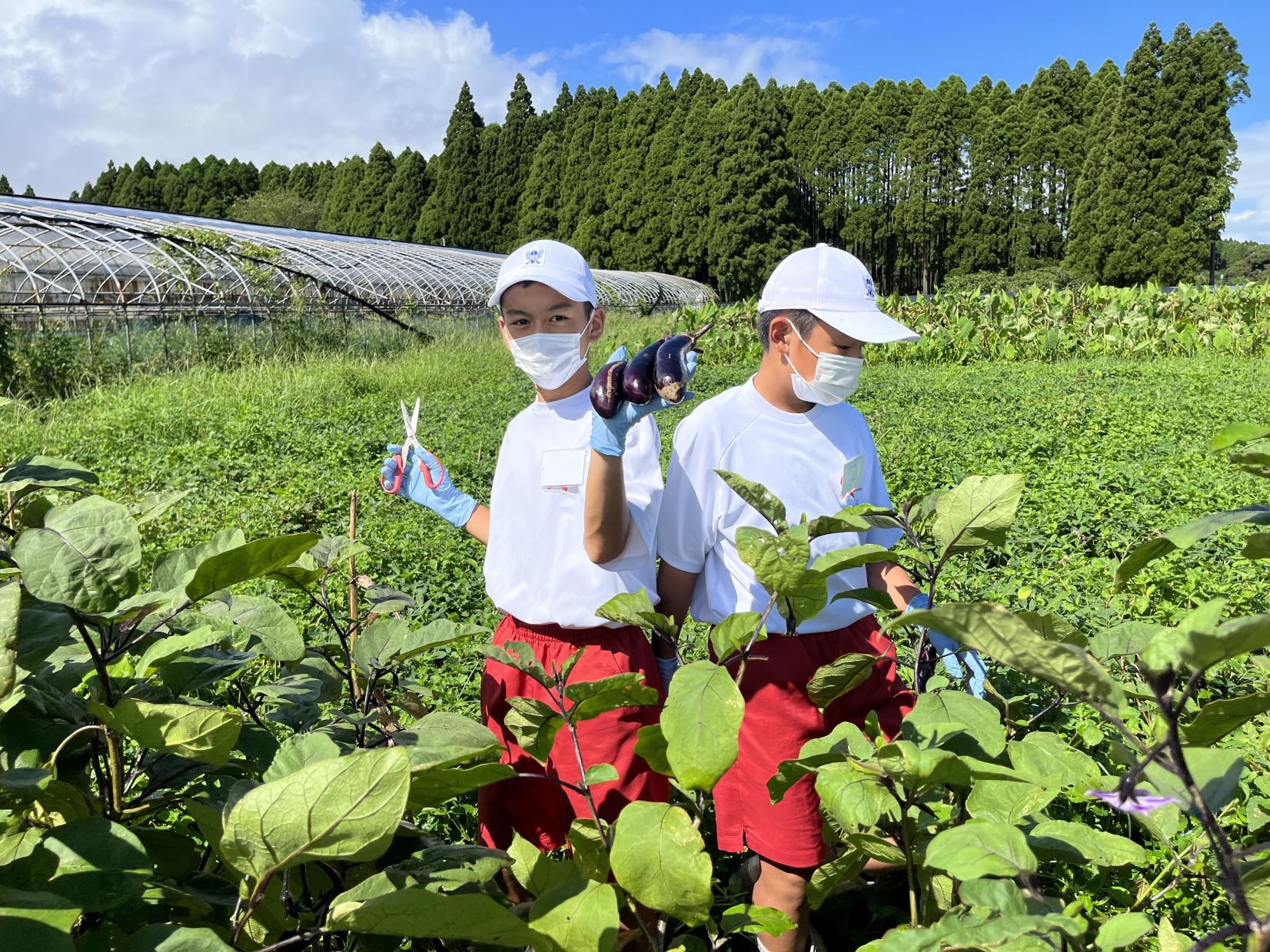 自分で考え、動く！大自然が教える「生きる力」と自立心-2
