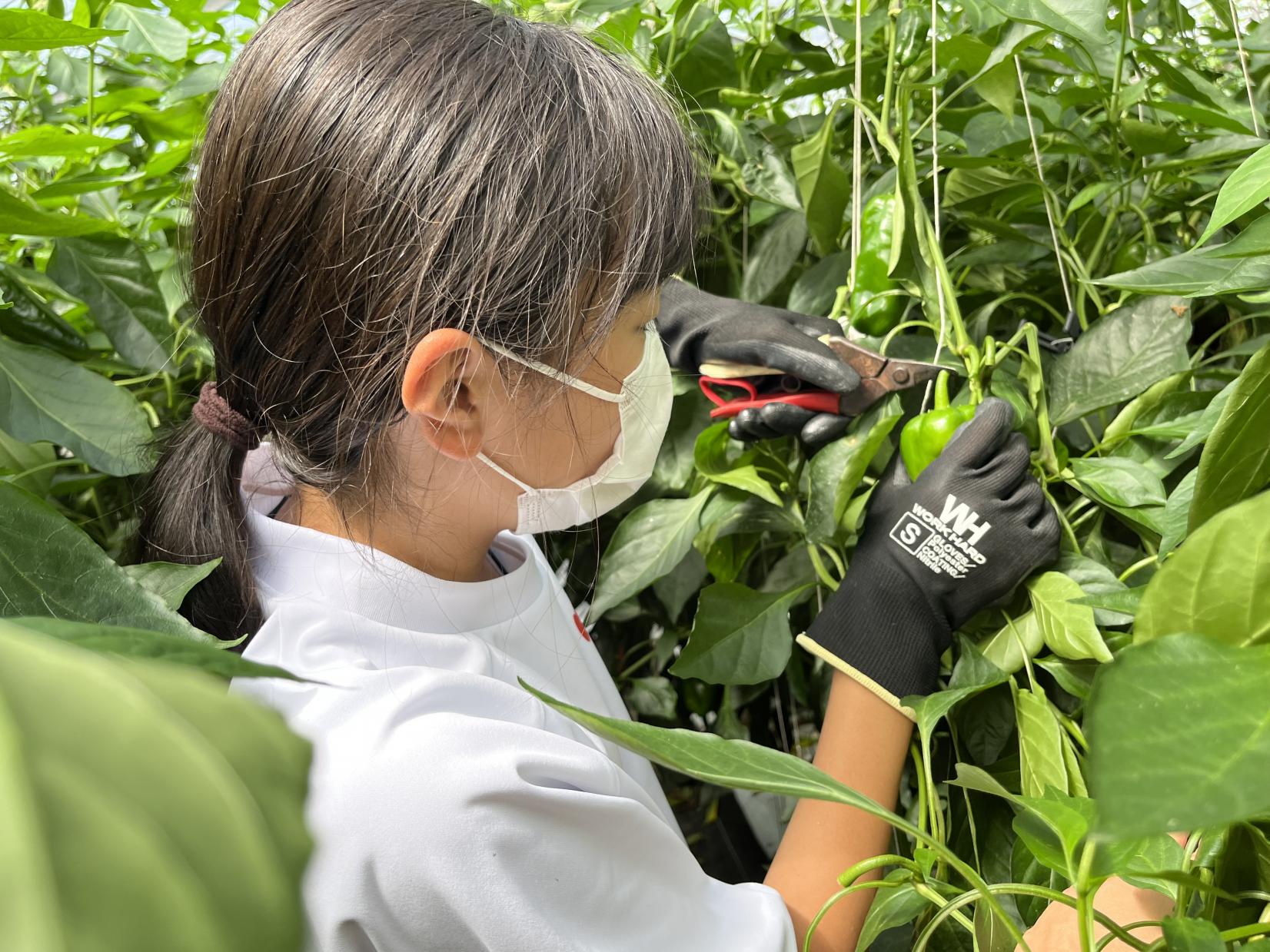 自分で考え、動く！大自然が教える「生きる力」と自立心-0