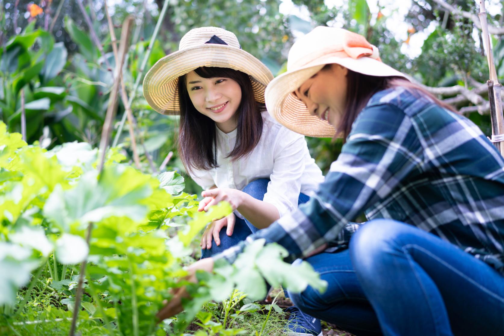 宮崎で「暮らし」と「旬」を味わう、とっておきの農泊体験プラン-1