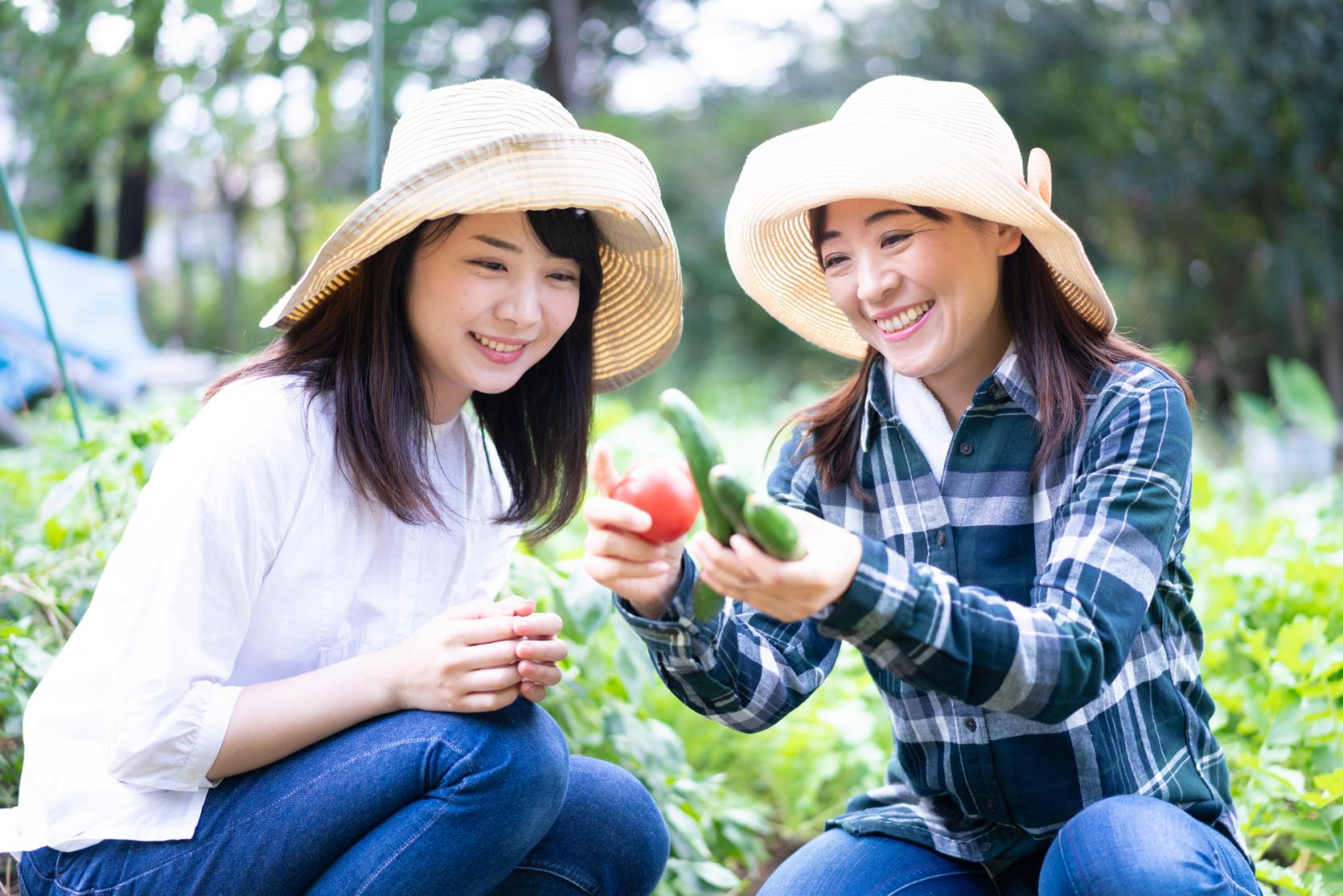宮崎で「暮らし」と「旬」を味わう、とっておきの農泊体験プラン-2