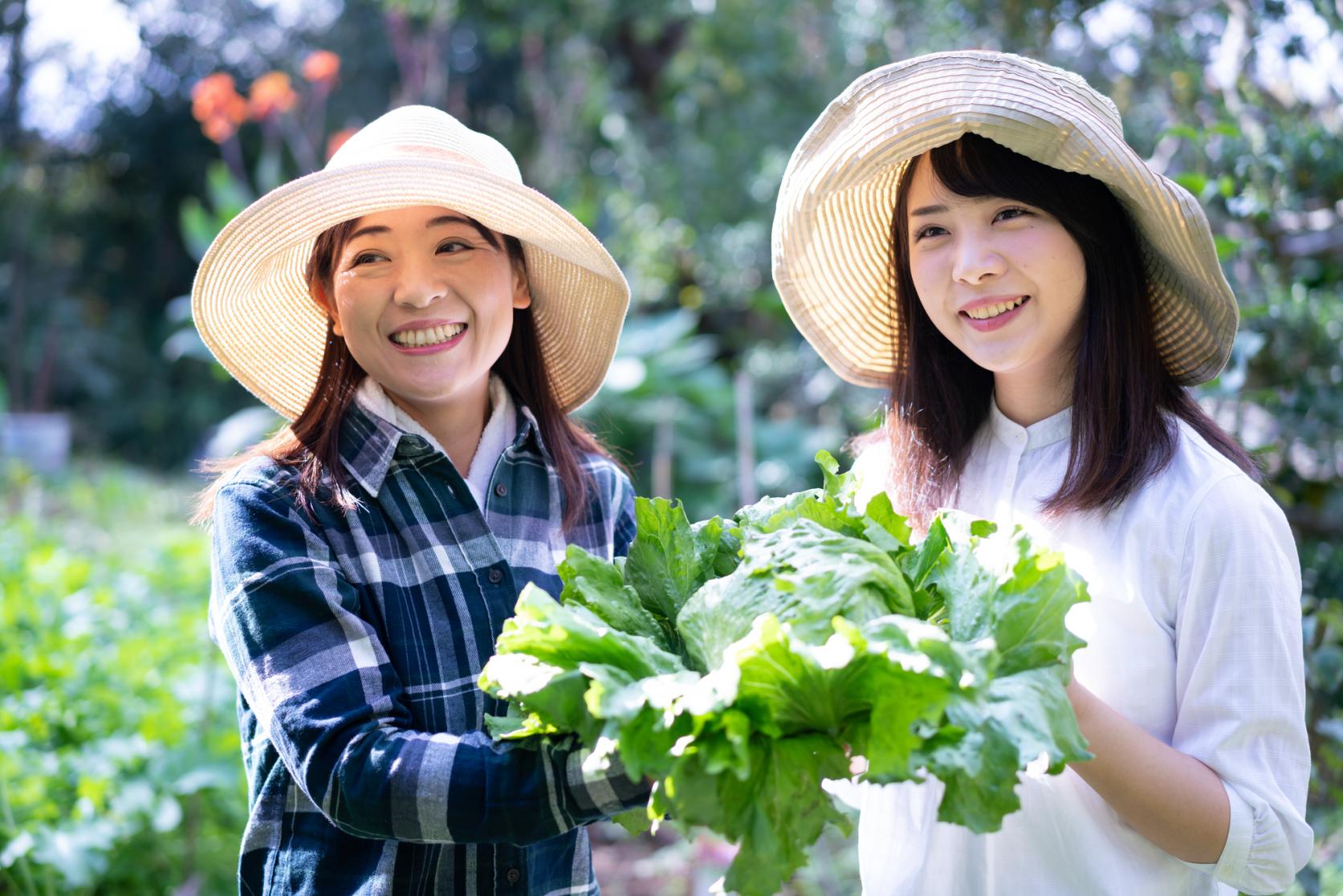 宮崎で「暮らし」と「旬」を味わう、とっておきの農泊体験プラン-3