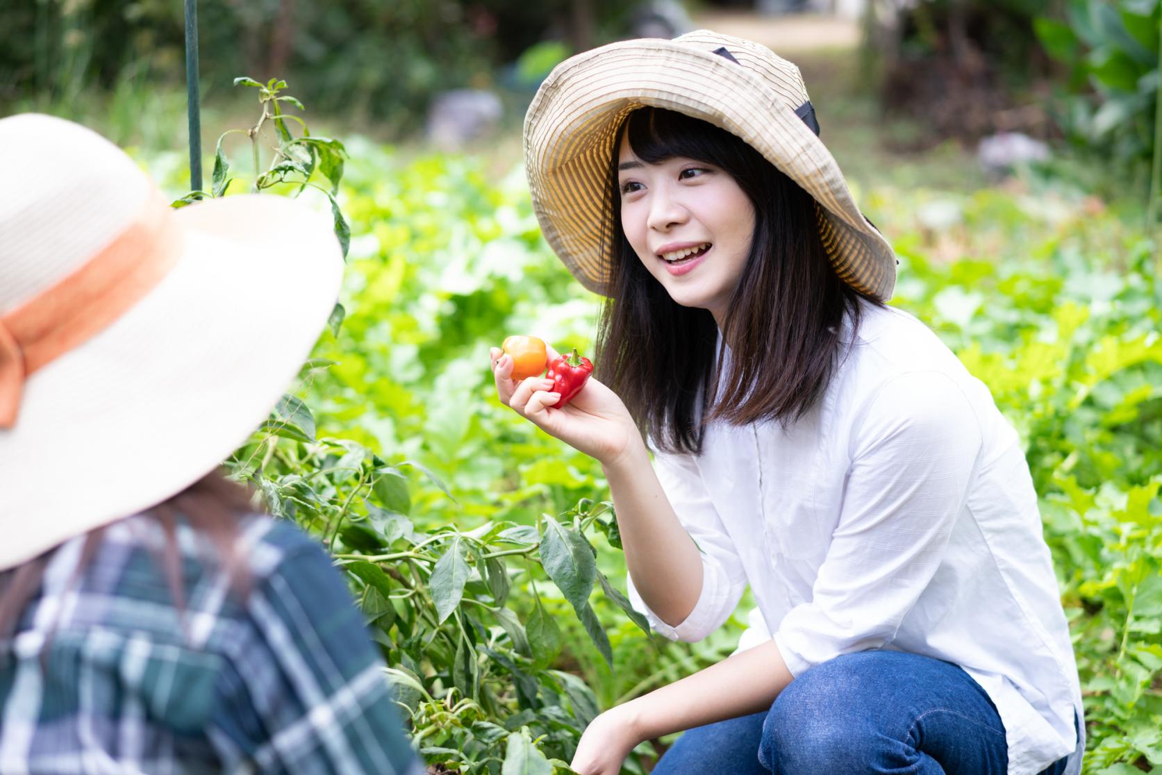 宮崎で「暮らし」と「旬」を味わう、とっておきの農泊体験プラン-0