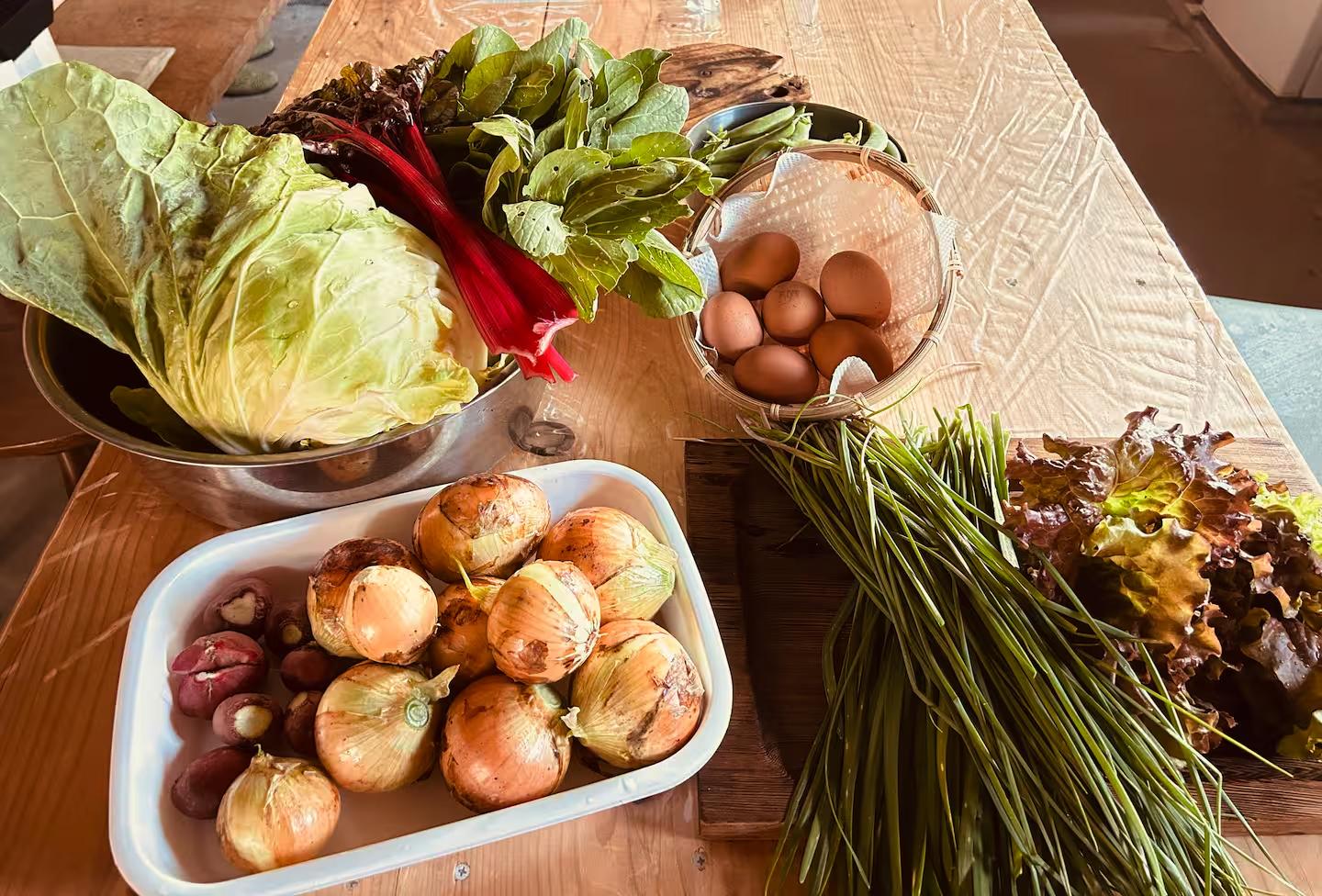 古民家一棟貸しで楽しむ「自給自足」の暮らし体験「古民家ひなたぼっこ」（宮崎市）-7