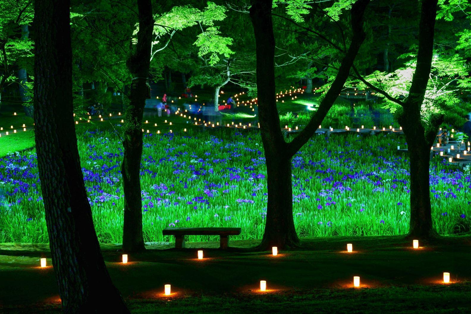 はなしょうぶ-2