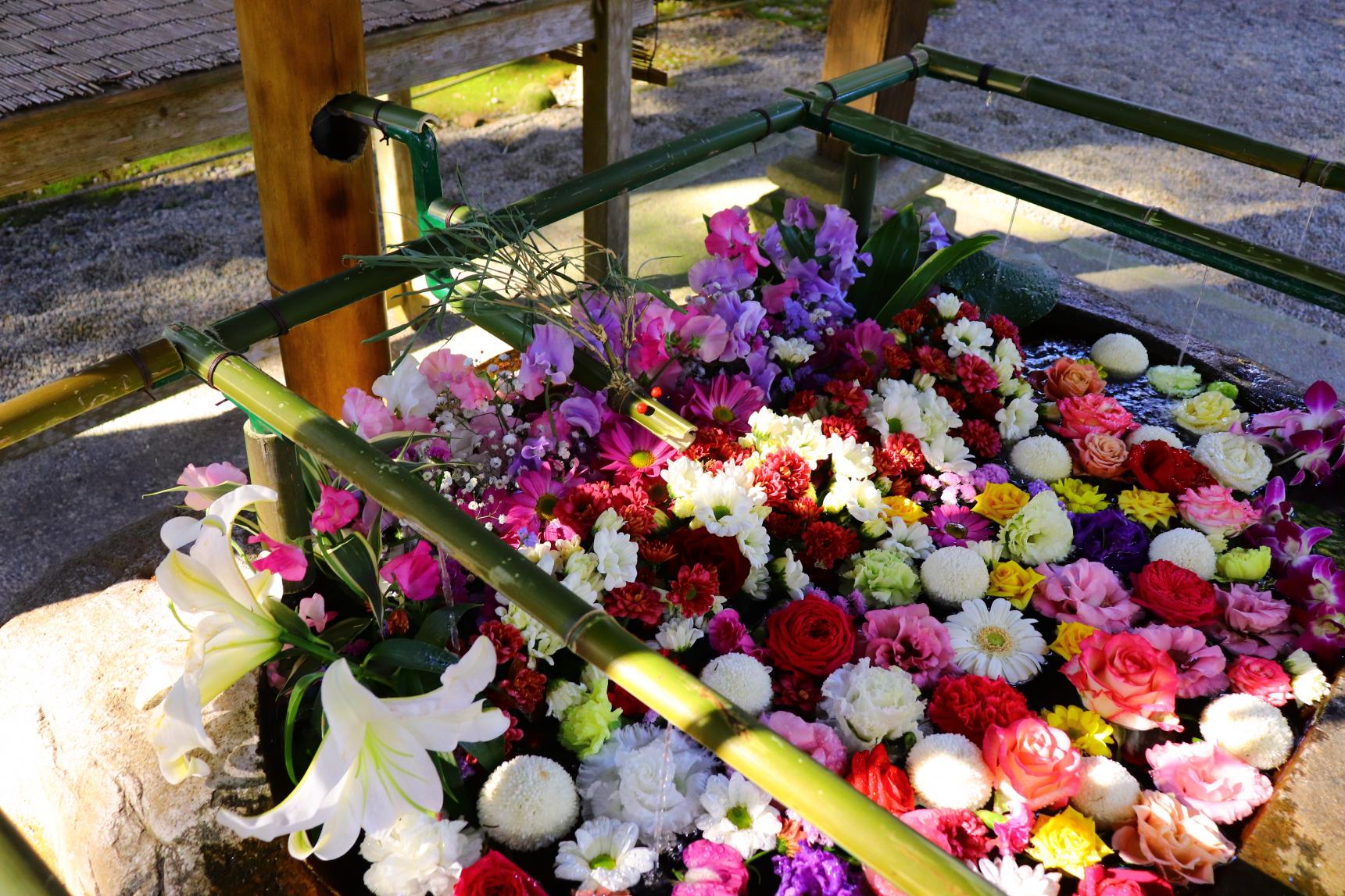 第6位　都農神社（都農町）｜開運・厄除けにおすすめの神社-2