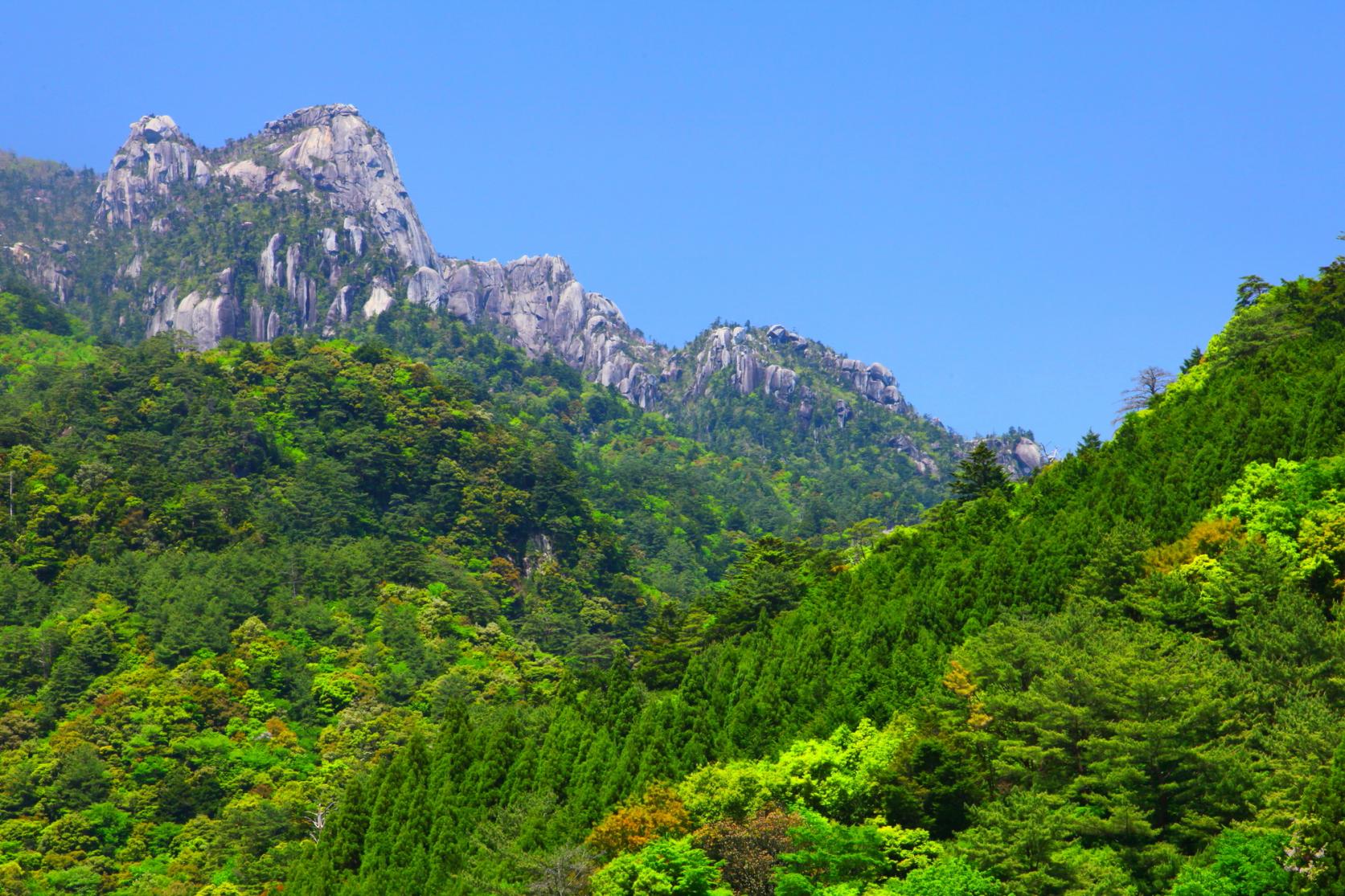 標高が生み出すグラデーション。命を育む広大な植生-0