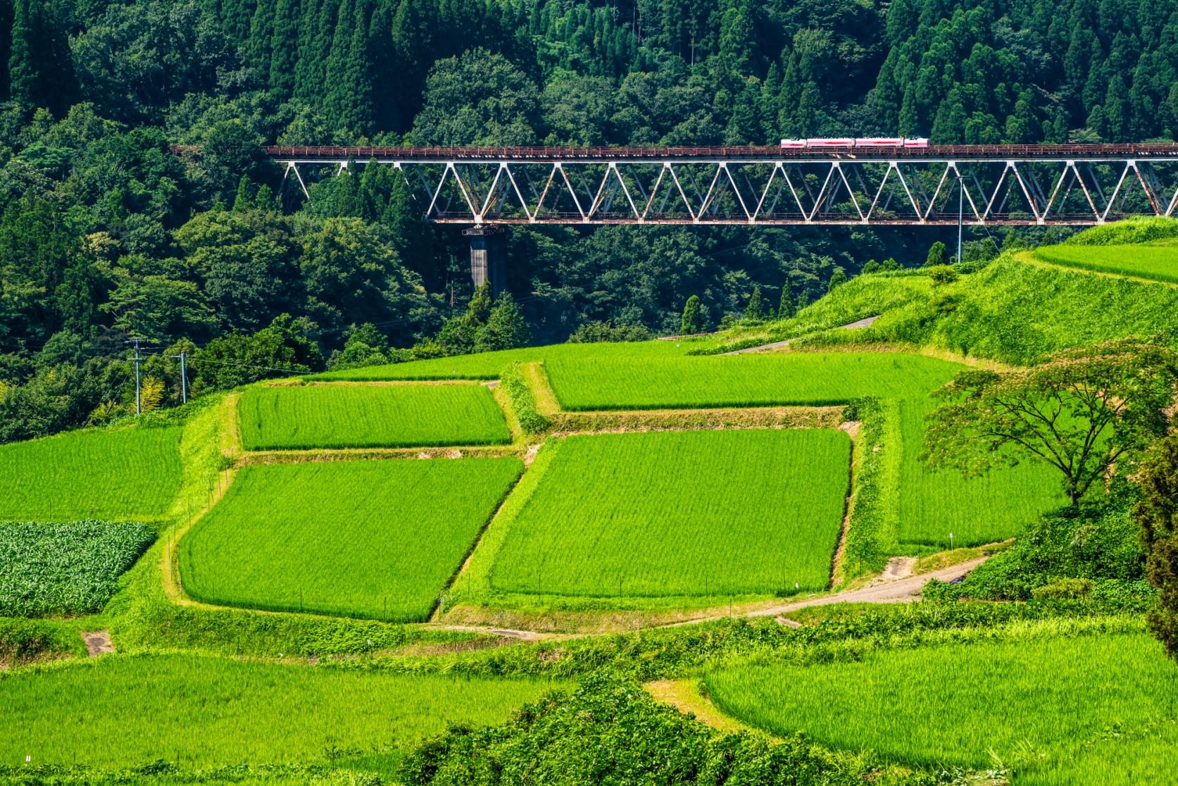 急峻な地形を「恵み」に変える。石積みの棚田と人々の知恵-1