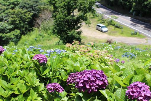 ⑤萩の茶屋（小林市）-0
