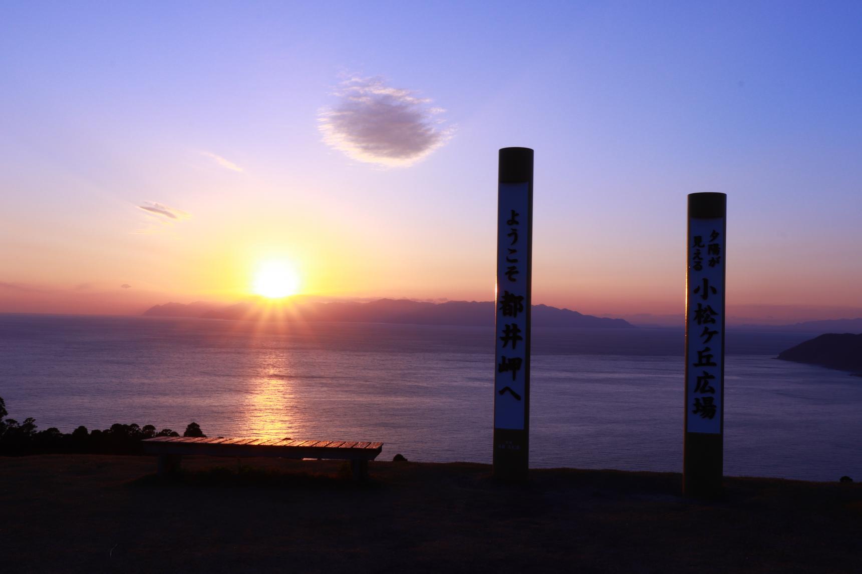 第4位　都井岬（串間市）｜野生の馬が暮らす最南端の絶景岬-1