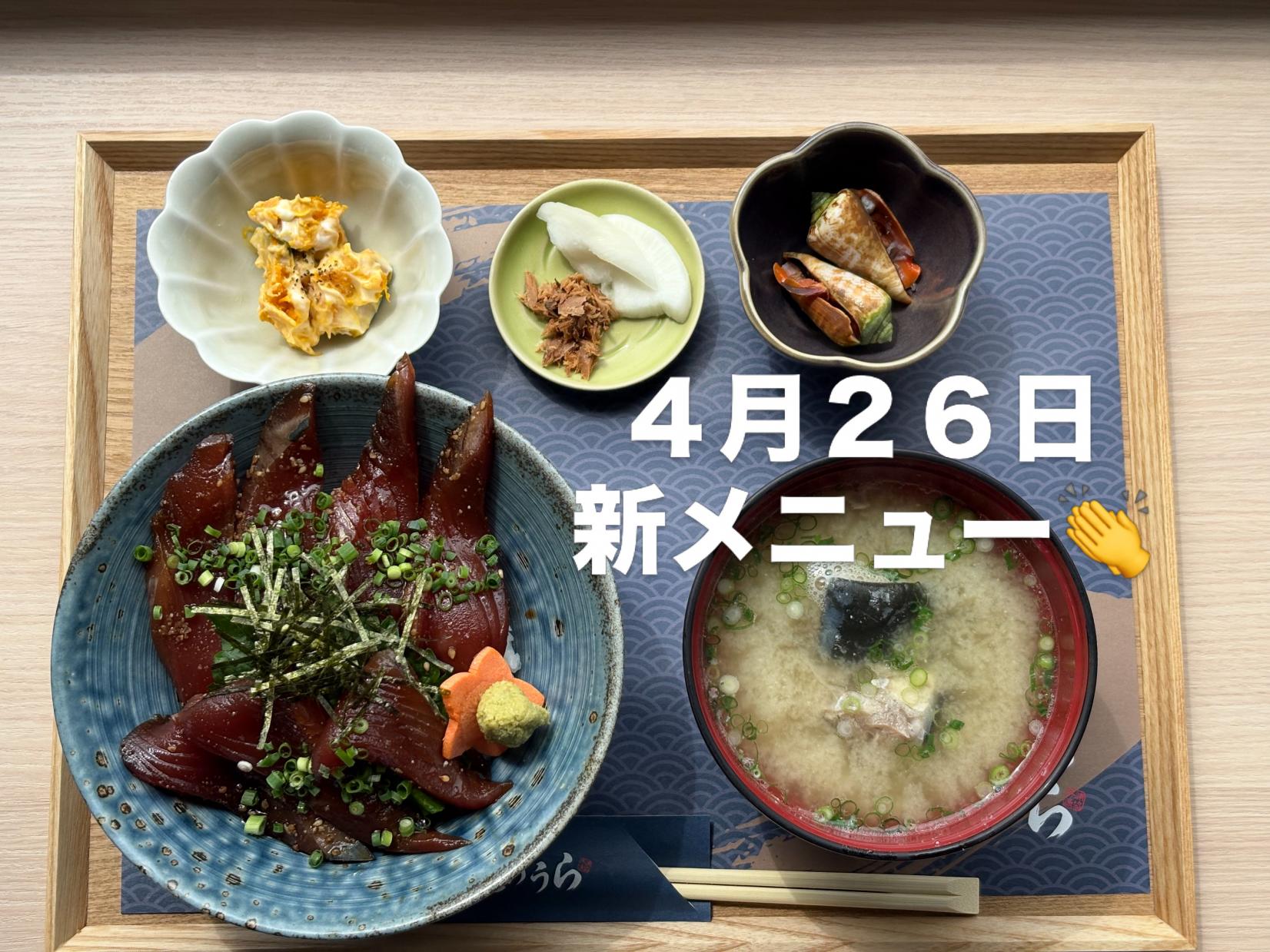 漁協食堂とのうら（日南市）｜漁港直結の海鮮グルメスポット-1