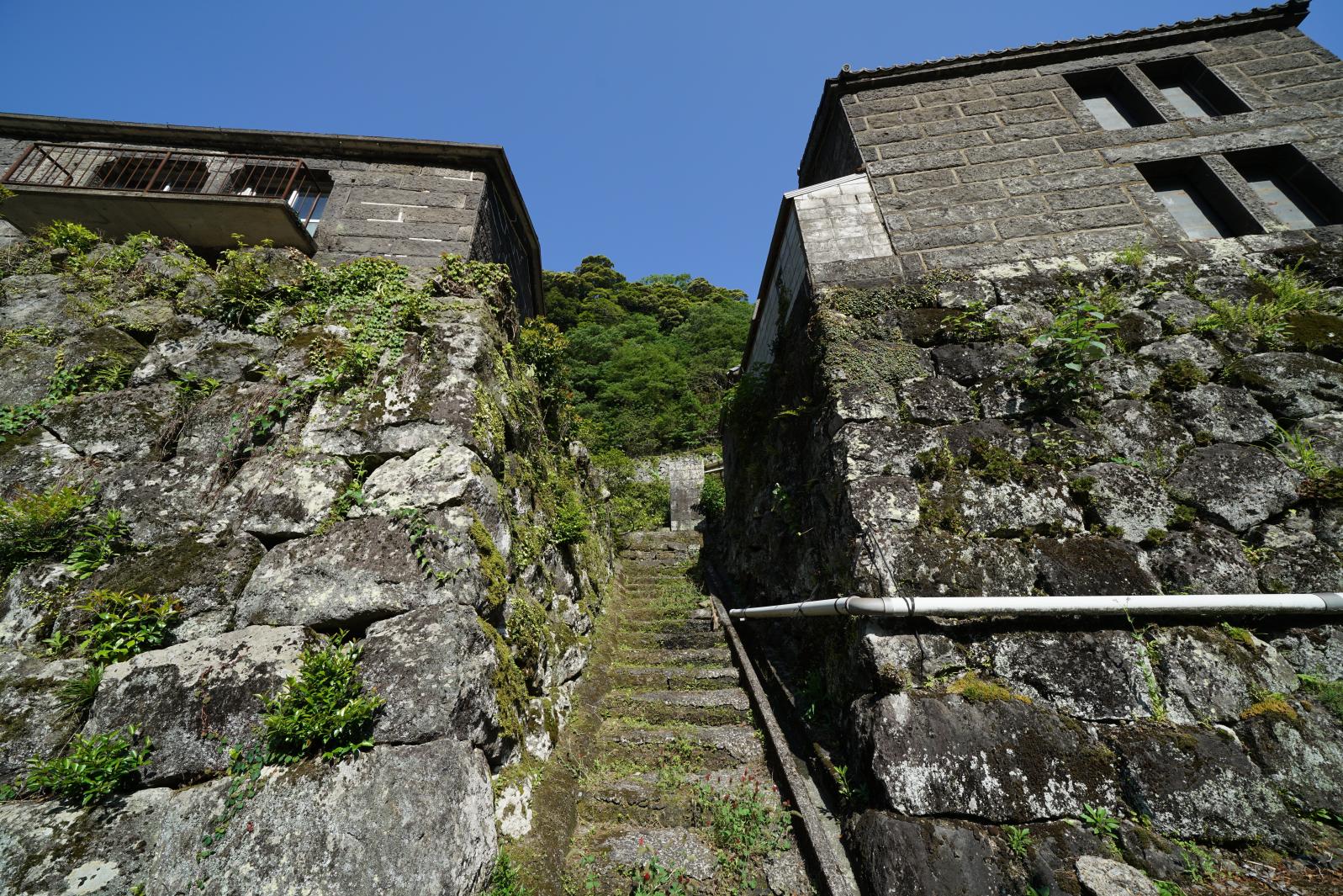 【日之影町】石垣の村「戸川」｜時を重ねた石が語りかける、山里の静かな気配-3