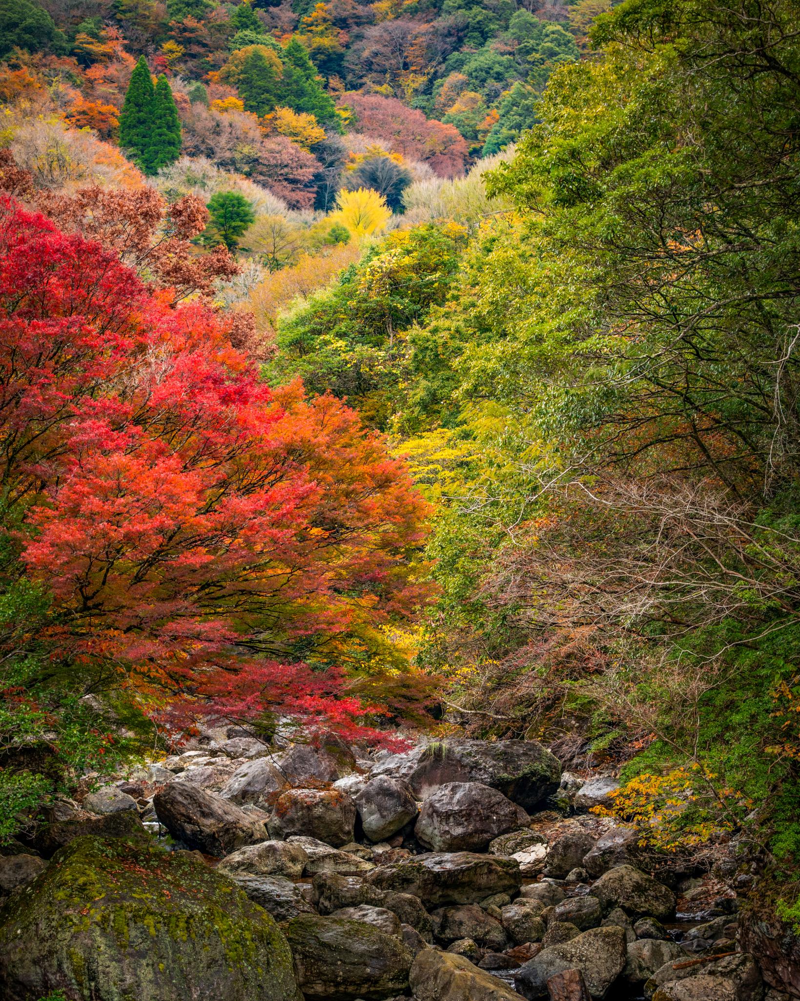 見立渓谷｜山全体が色づく、秋のフォトスポット-0