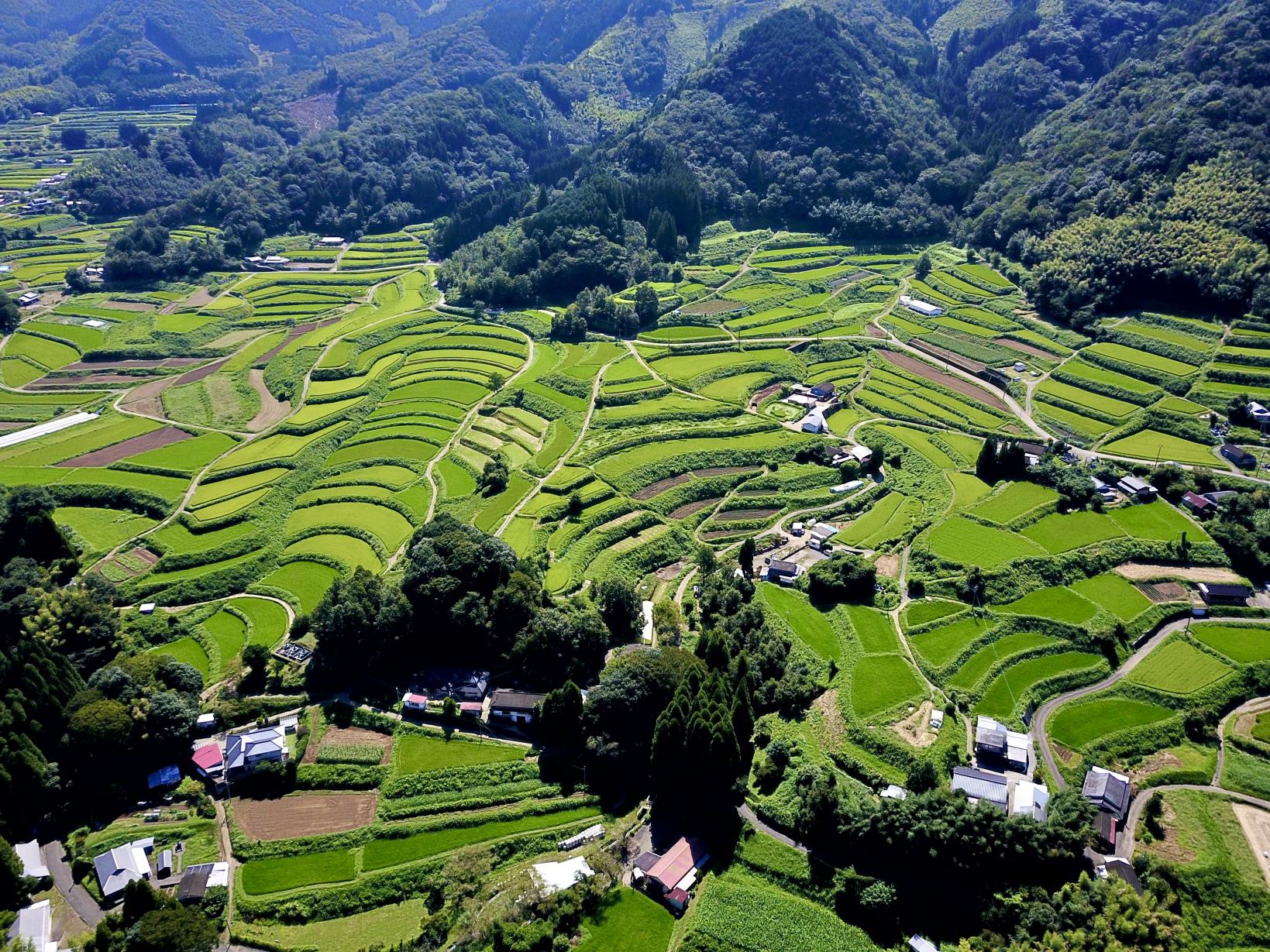 高千穂の棚田｜山あいに広がる、緑の曲線美-0