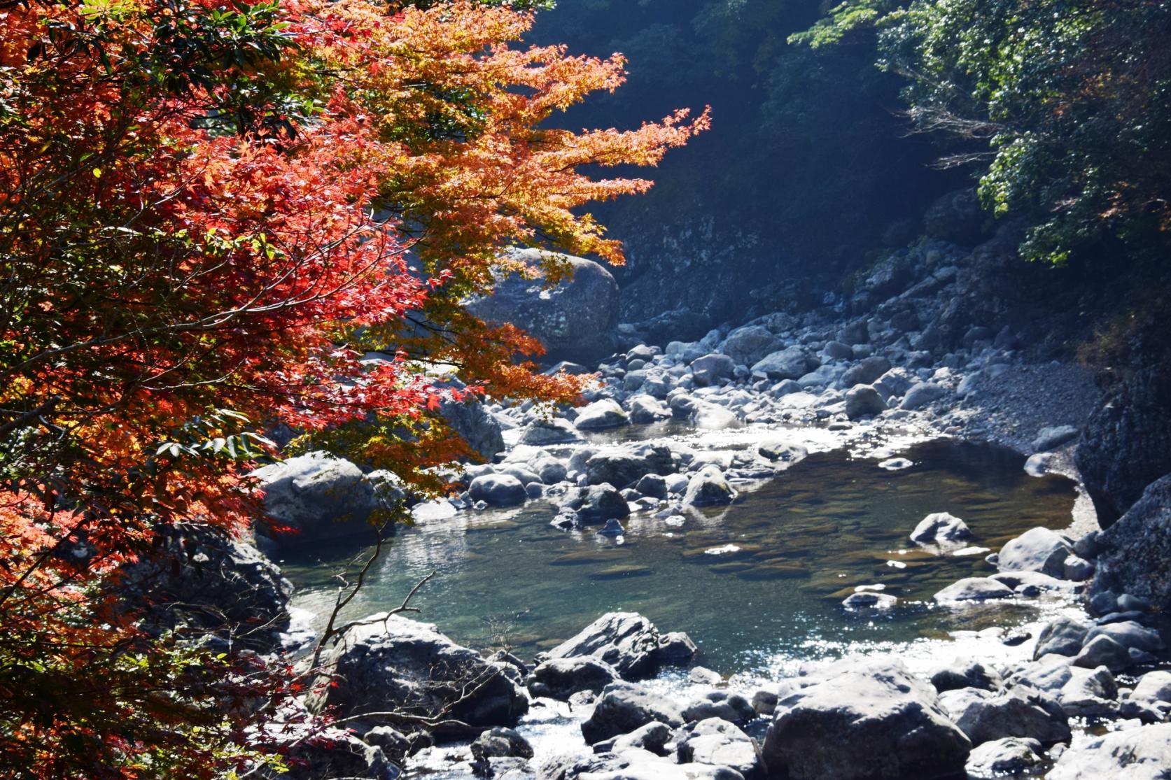 【秋】極彩色の断崖｜見立渓谷・鹿川渓谷・祝子川渓谷の紅葉（10月下旬〜11月下旬）-4