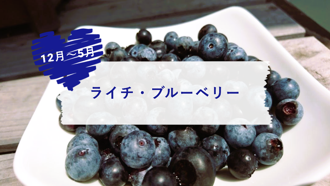 【5月～8月】ライチ・ブルーベリー｜いちご以外の珍しいフルーツ狩り！-0