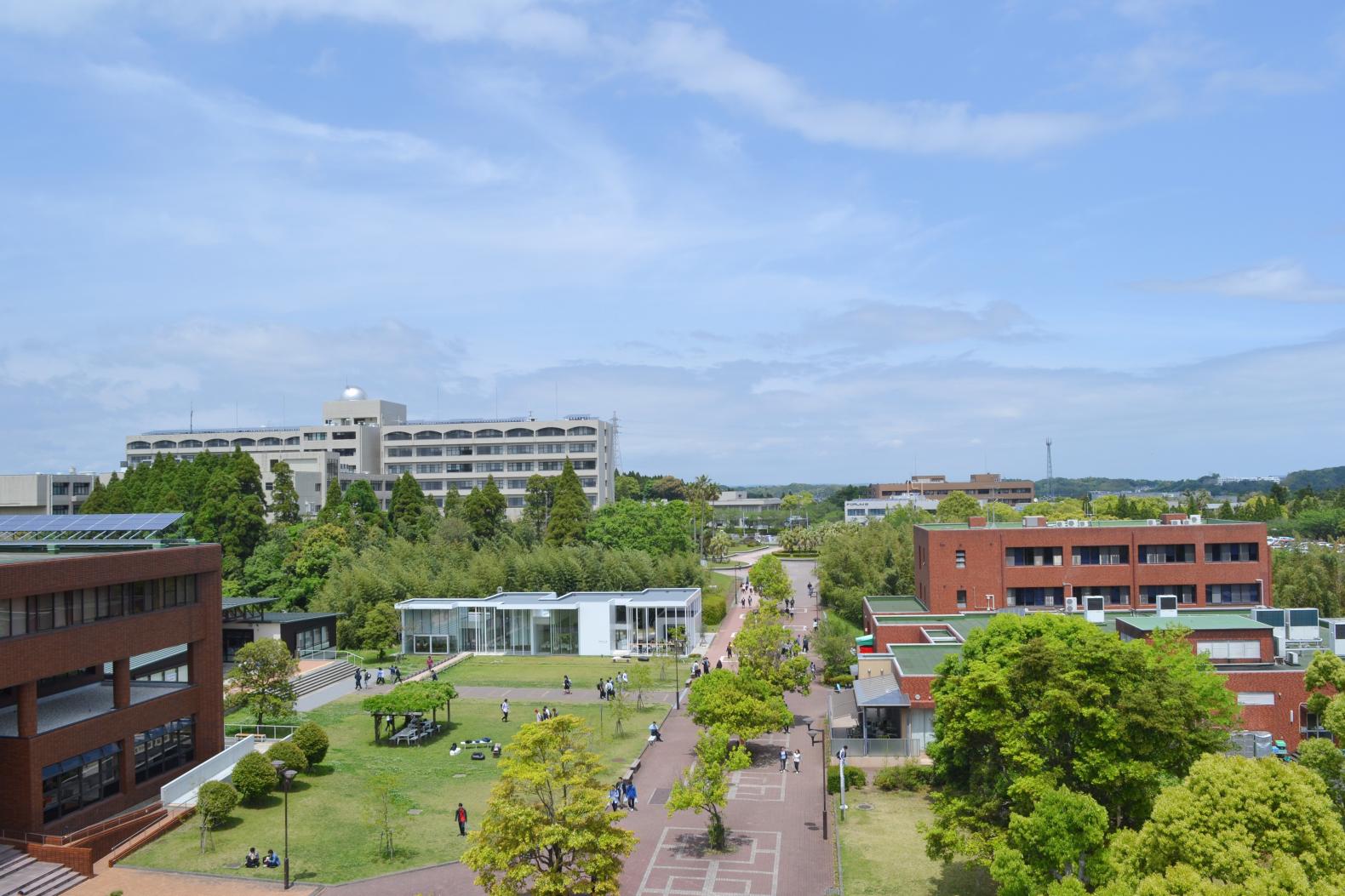 国立大学法人宮崎大学 工学部-0