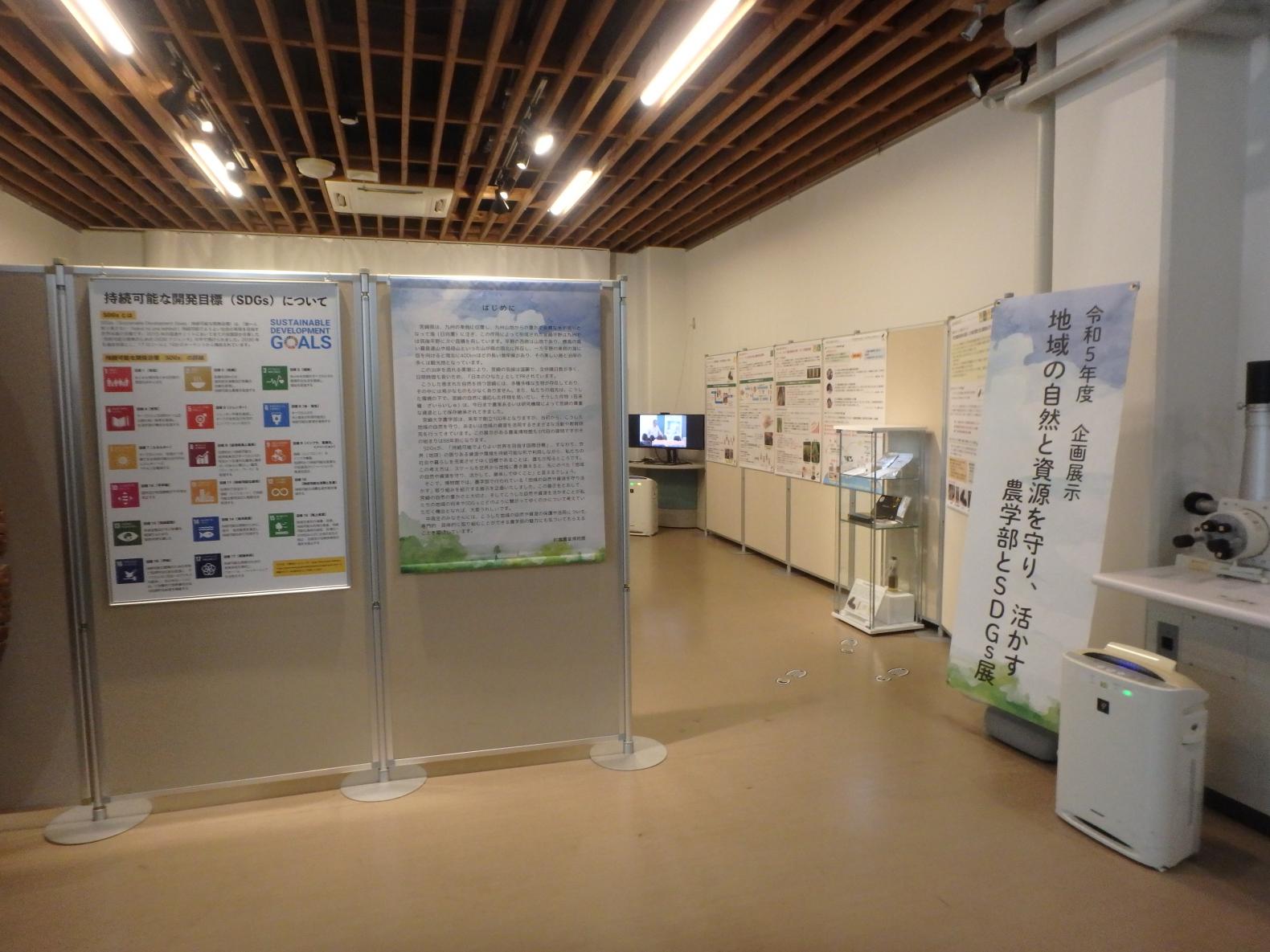 宮崎大学農学部附属農業博物館-1