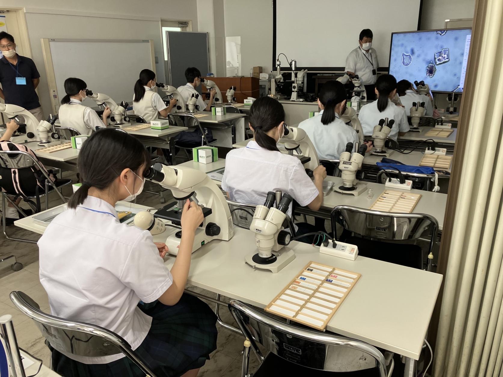 宮崎大学農学部附属農業博物館-3