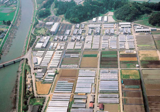 宮崎県総合農業試験場-0