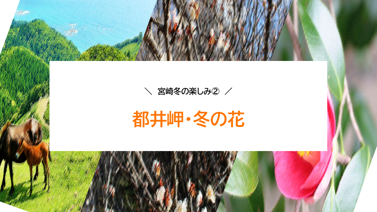 ② 冬だけの絶景・自然-0