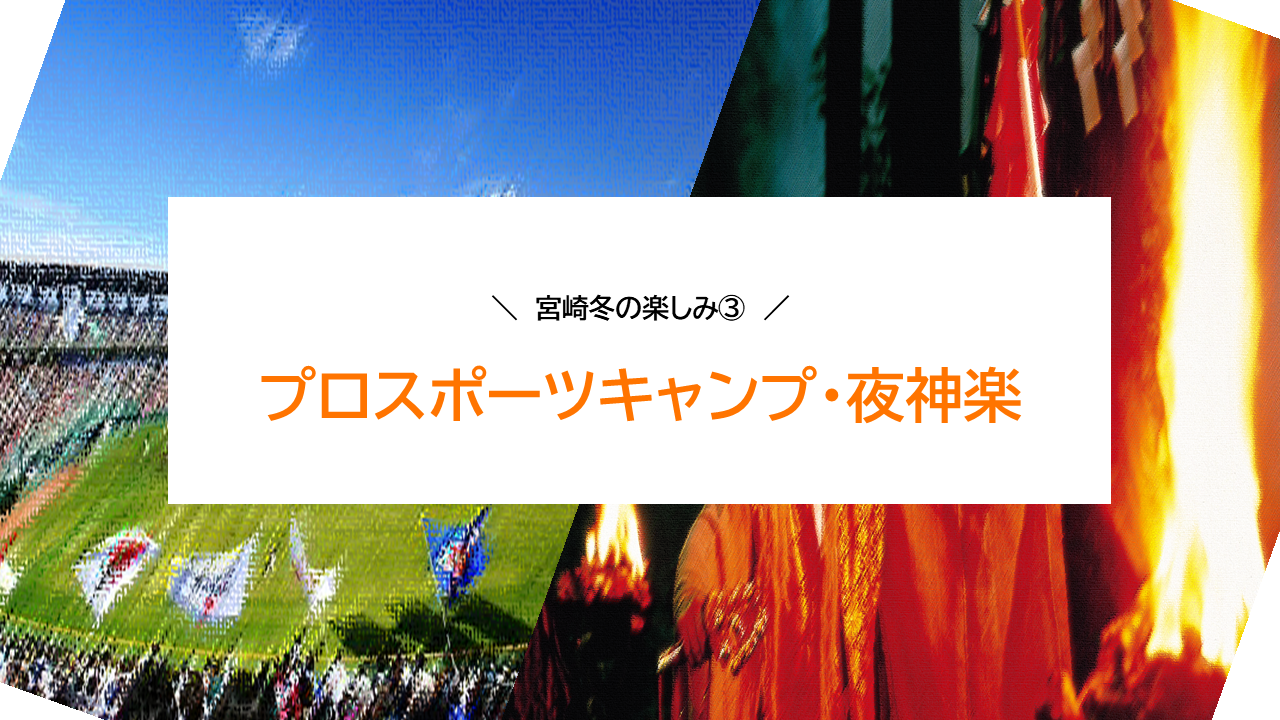 ③ 宮崎ならではの冬の楽しみ-0