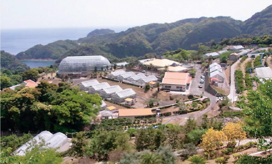 宮崎県総合農業試験場 亜熱帯作物支場-0