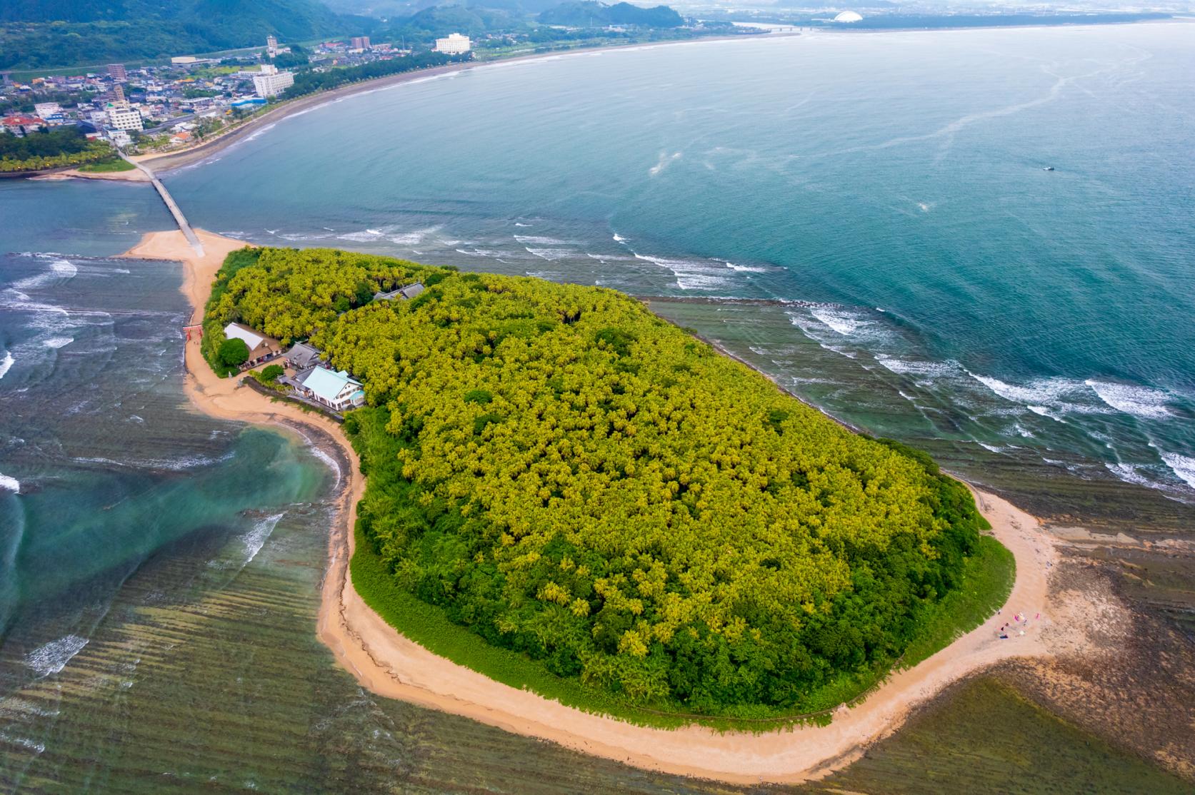 亜熱帯植物に包まれた神秘の島「青島」-1