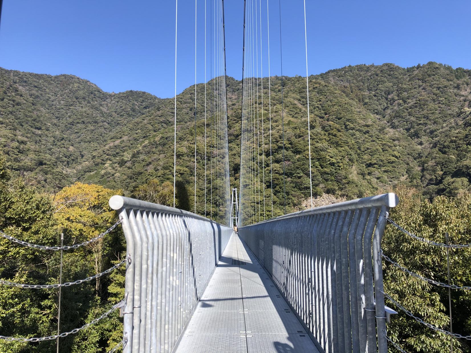 日本最大級の照葉樹林を有する綾町のシンボル「照葉大吊橋」-0