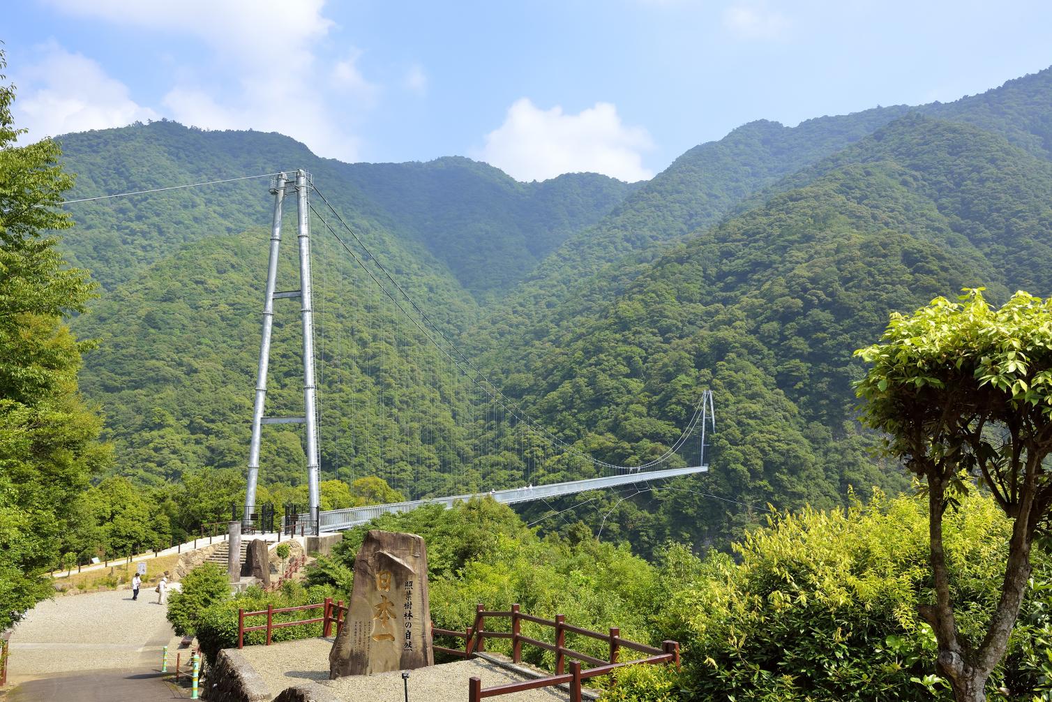 宮崎市から日帰りOK！綾の大吊橋、西都原、高鍋湿原を巡る自然満喫ドライブコース-1