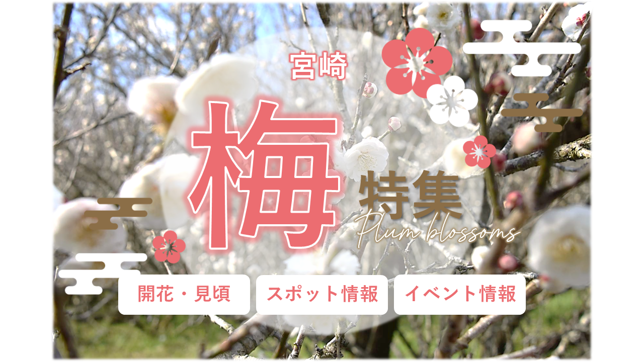 🌸宮崎県おすすめ梅の名所2026｜見頃・観光スポット・イベント-1