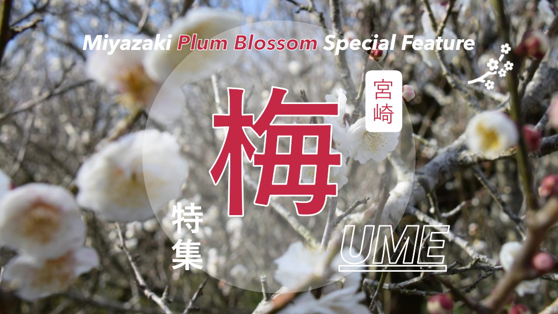 🌸宮崎県おすすめ梅の名所2026｜見頃時期・開花情報・イベント-1