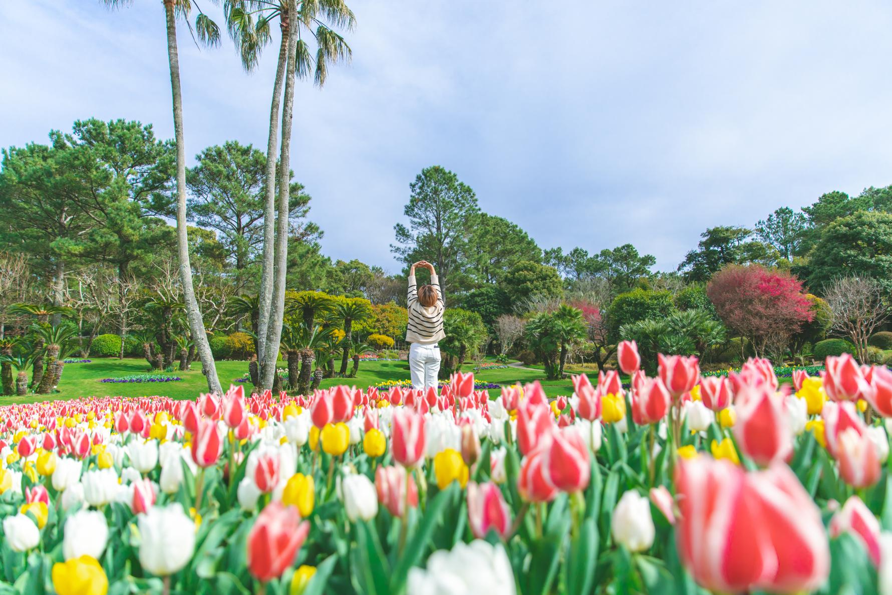 みやざき春の花旅～桜だけじゃない！宮崎の花々で春を大満喫～-1