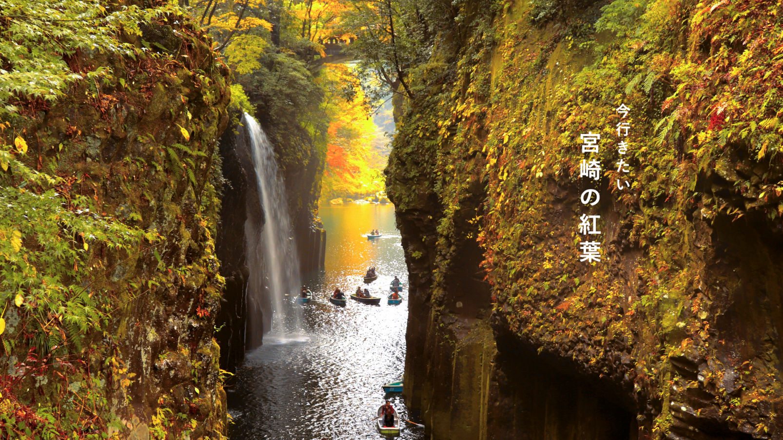 紅葉で宮崎の深まる秋を満喫！-1
