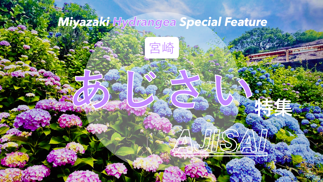 🌸宮崎県あじさいスポット2026｜見頃時期・絶景＆穴場（宮崎市・都城・串間など）-1