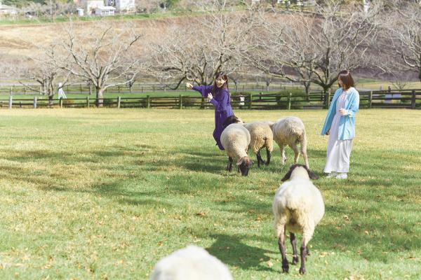 牧場の癒しと至福のパフェを味わう絶景1日旅-0