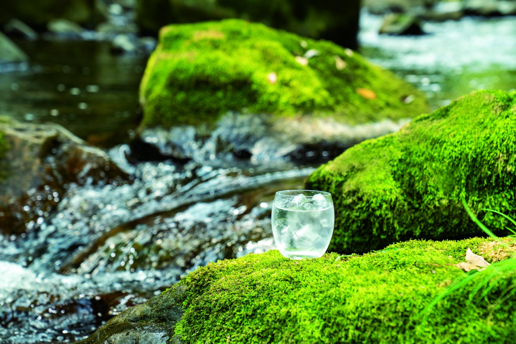 宮崎の本格焼酎徹底ガイド「だれやみ」-1