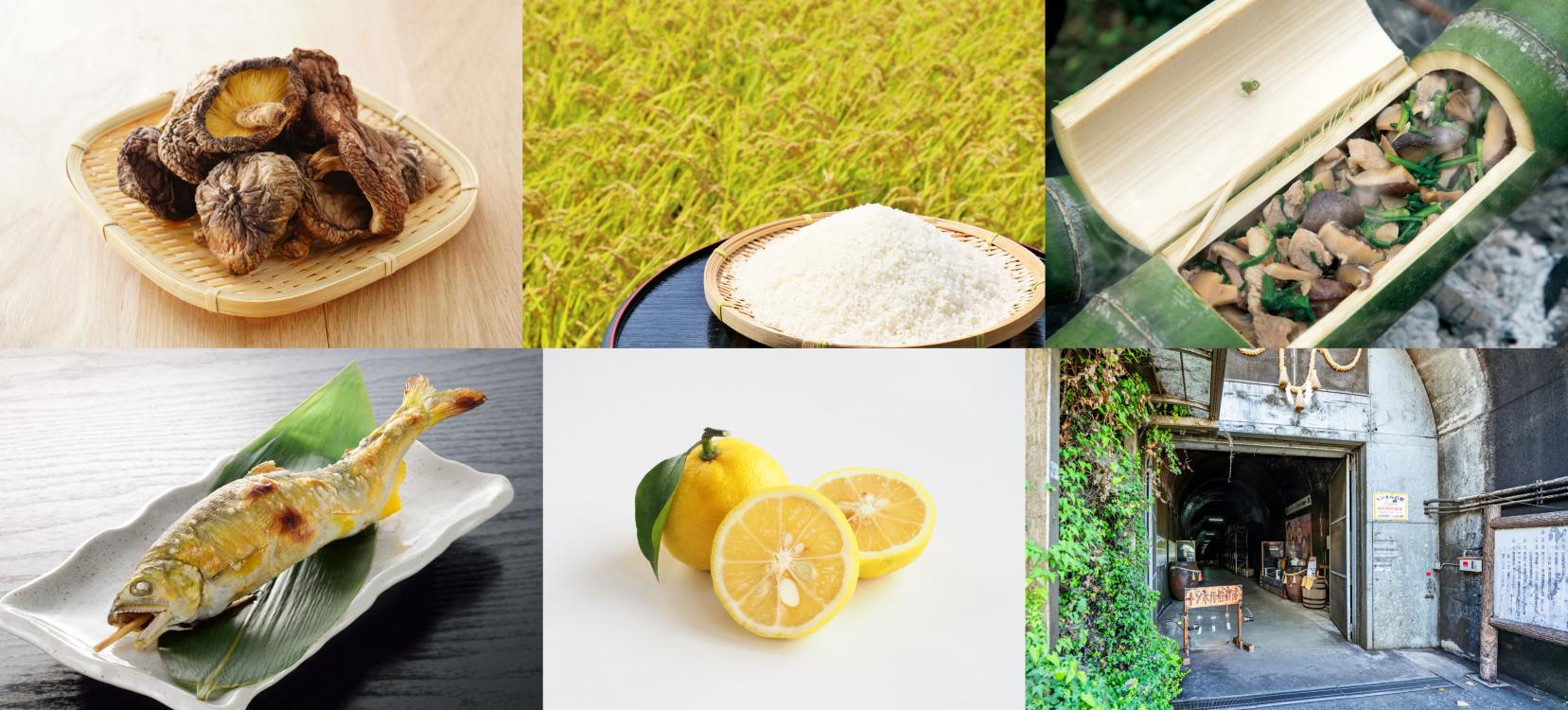 【保存版】祖母・傾・大崩ユネスコエコパークの恵みを味わう！グルメ・名産品まとめ-1