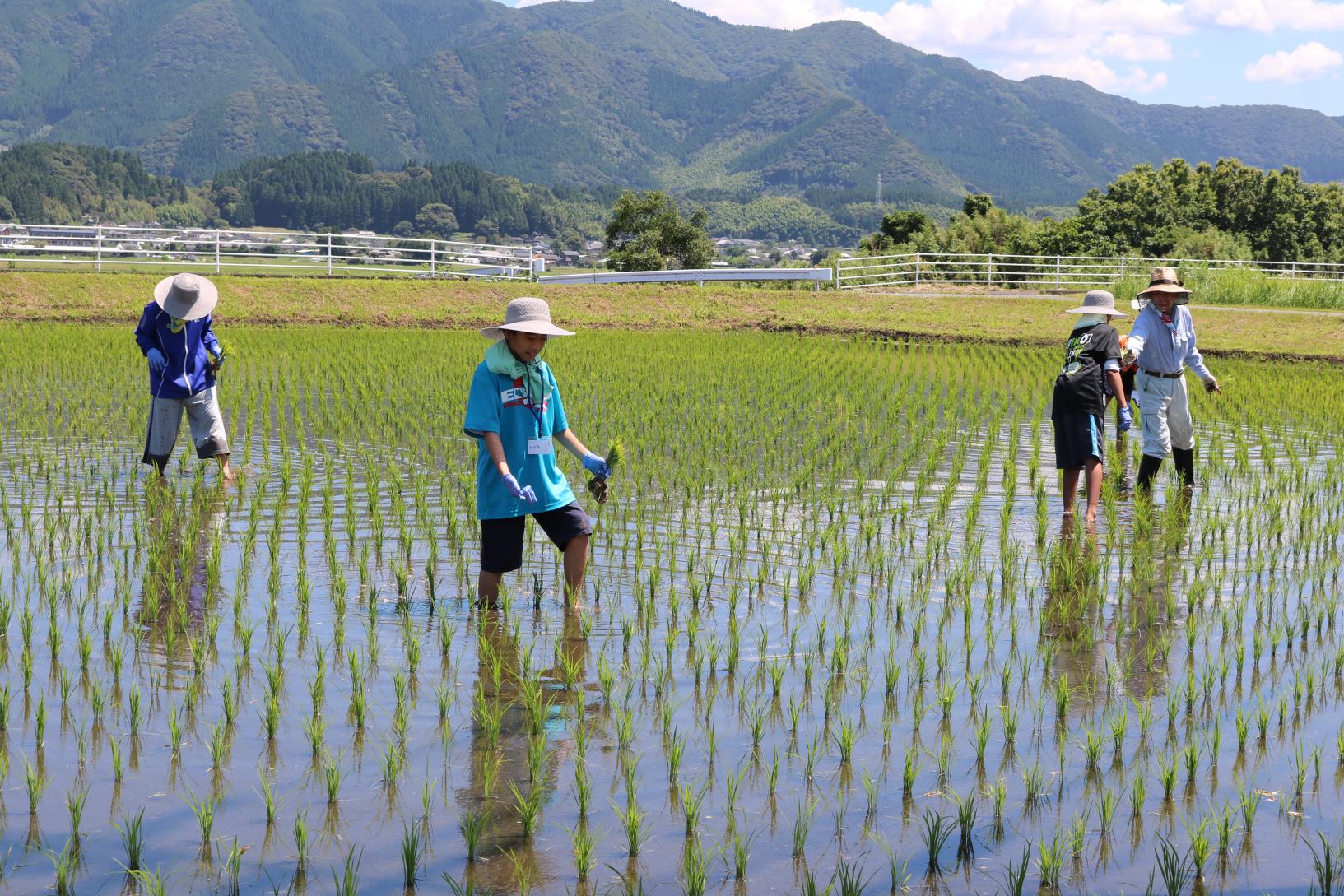 旅育にも最適！食育にもつながる宮崎農泊の選び方-1
