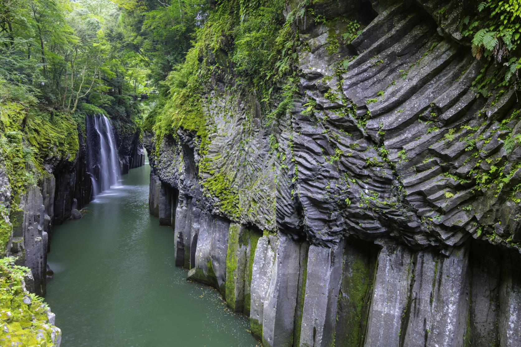 奇跡の自然図鑑。祖母・傾・大崩ユネスコエコパークの動植物と地形-1